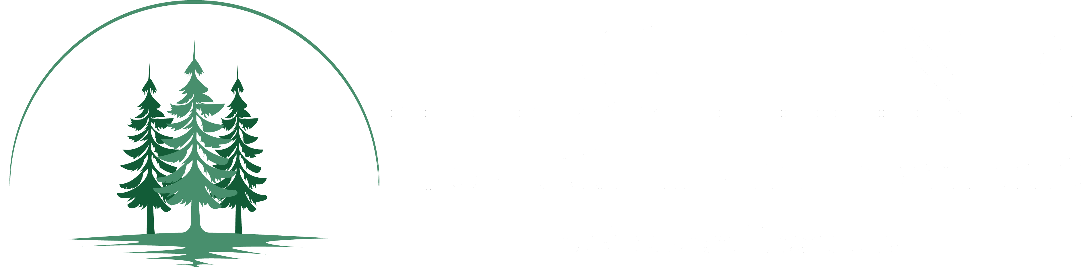 Mc shane logo